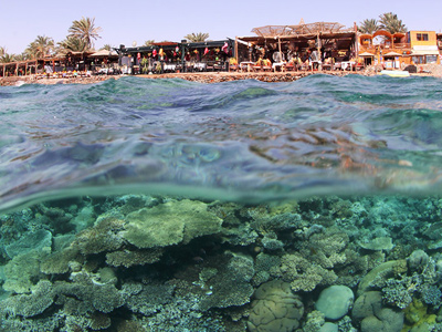 freedive-dahab-1