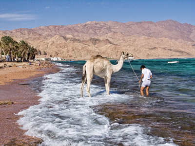 freediving-dahab-2