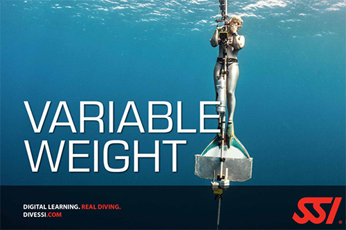 variable-weight