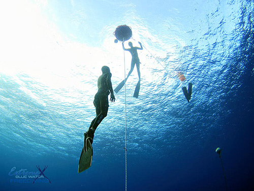 freediving instructor